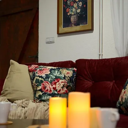 Lek Za Dusu Vakantiehuis Despotovac