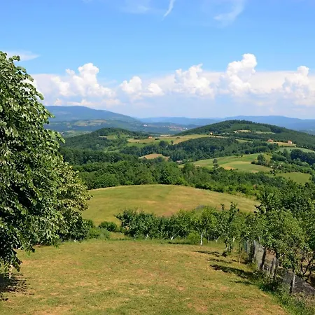 Lek Za Dusu Despotovac