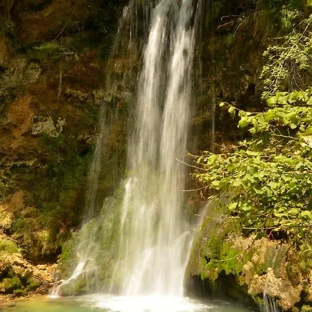 Lek Za Dusu * Despotovac