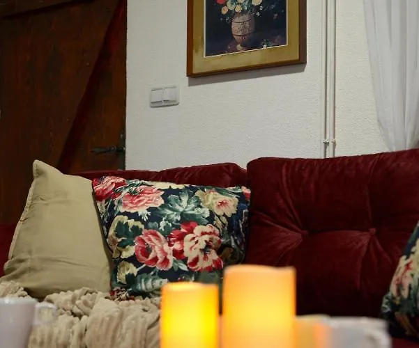 Lek Za Dusu 別荘 デスポトヴァツ