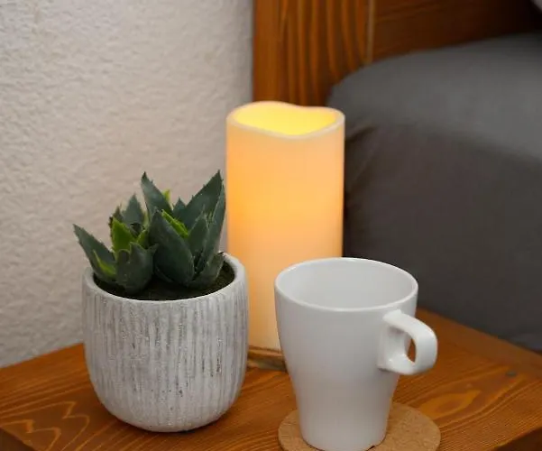 Lek Za Dusu 別荘 デスポトヴァツ