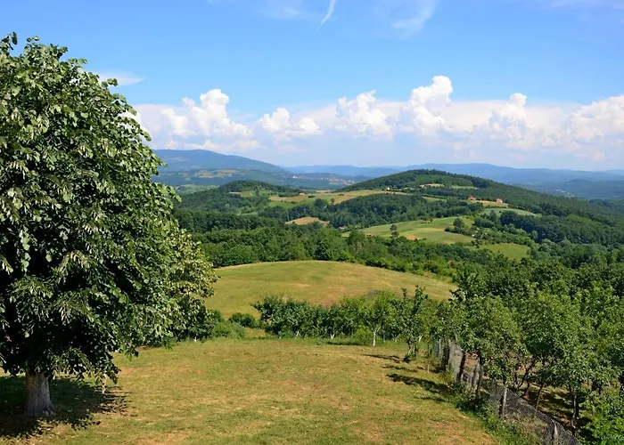 Lek Za Dusu デスポトヴァツ