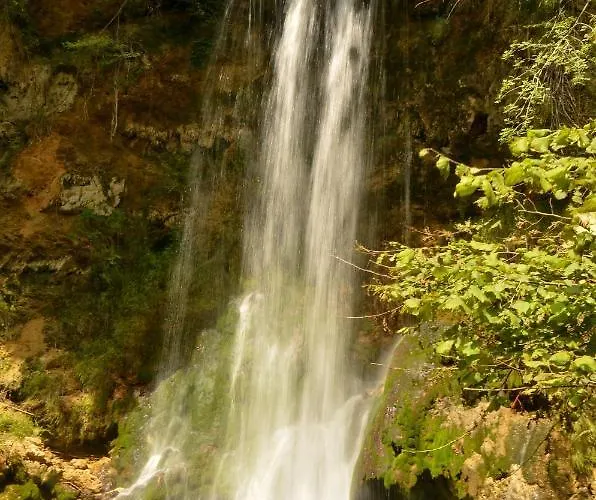 Lek Za Dusu * デスポトヴァツ