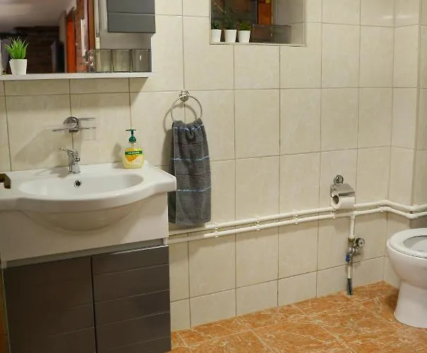 別荘 Lek Za Dusu デスポトヴァツ